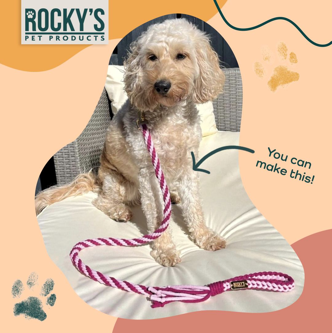 The Best Mother’s Day Gift for Dog Mums: Rocky’s Pet Products DIY Dog Lead Crafting Kits
