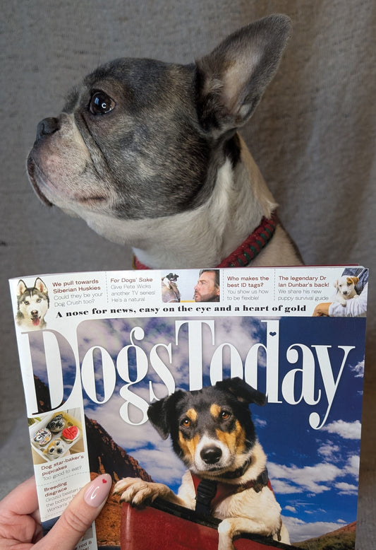 Rocky’s Pet Products DIY Dog Lead Crafting Kit Featured in Dog’s Today Magazine Issue 366: A Fantastic Opportunity for Pet Lovers!