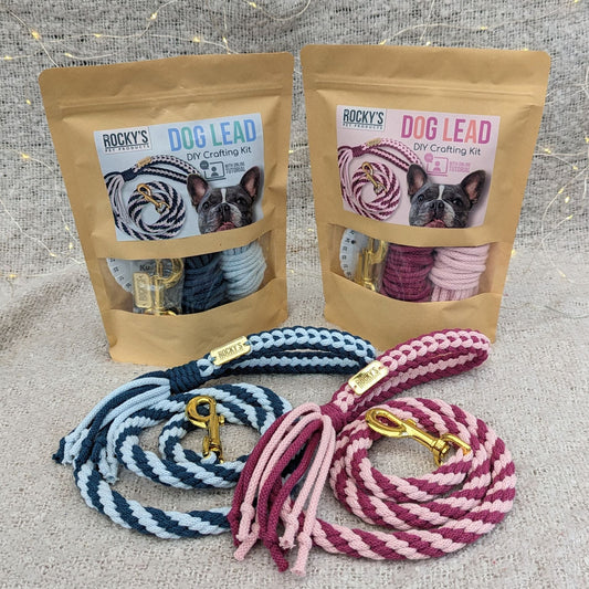Our VIRAL Make your Own Dog Lead Crafting Kit