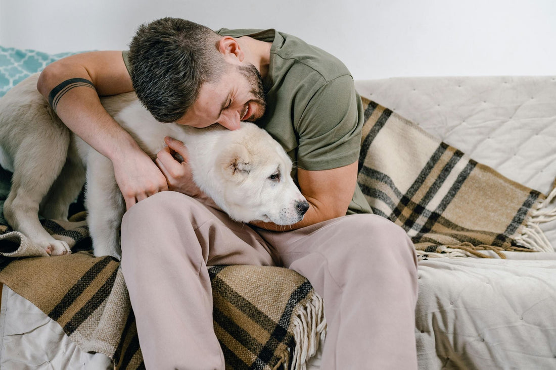 Looking for a Unique Father’s Day Gift? Try This DIY Dog Lead Kit for Dog Lovers