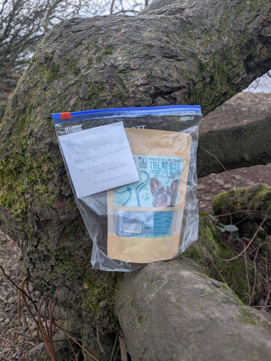 Random Acts of Kindness Day!