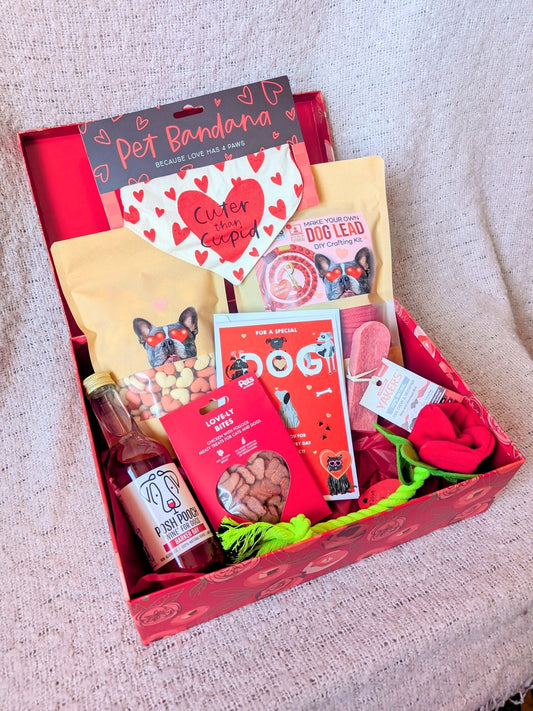 Valentine's Day Gift Giveaway 2025