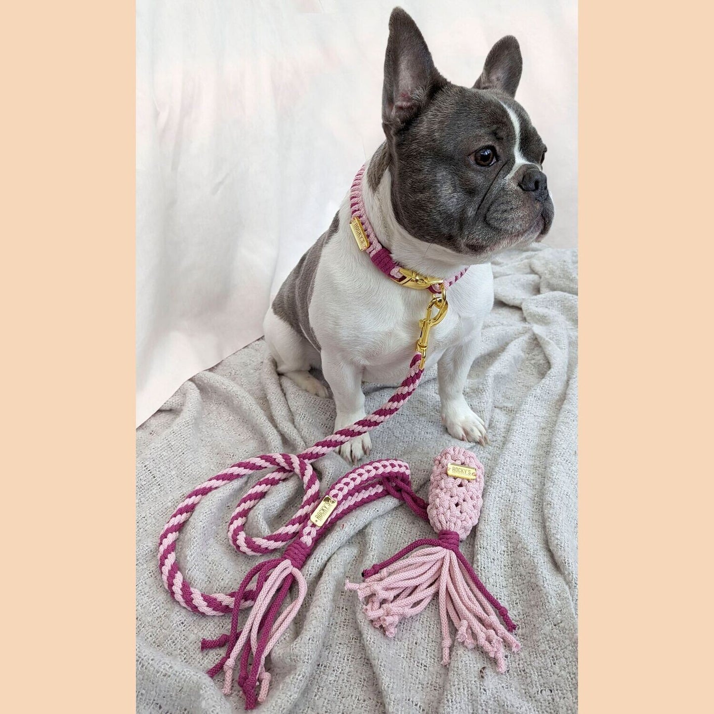 Macrame Two Tone Pink DIY Dog Collar, Lead and Poop Bag on Rocky