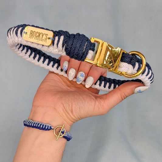 Macrame Two Tone Blue and Pink DIY Dog Collar and Friendship Bracelet Crafting Kit with Gold Hardware