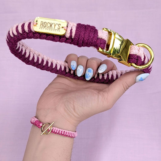 Macrame Two Tone Pink DIY Dog Collar and Friendship Bracelet Crafting Kit with Gold Hardware