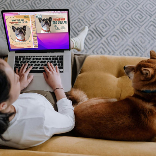 Macrame Make Your Own Pumpkin Dog Collar Crafting Download Guide