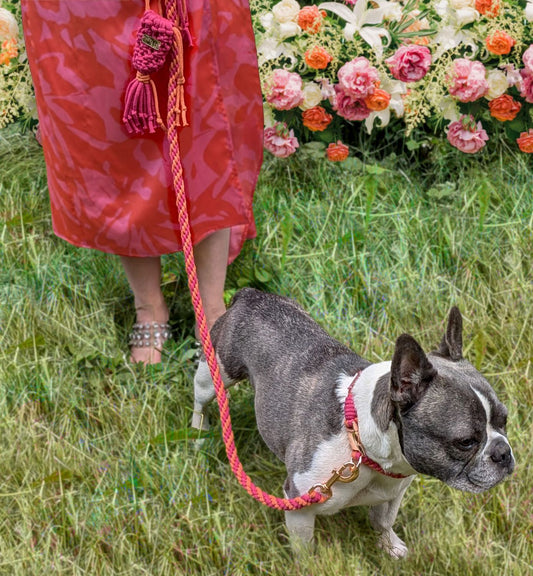 Macrame Pink and Orange DIY Dog Lead, Collar and Poop Bag on Rocky for Wedding