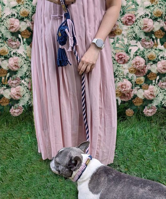 Macrame Pink and Blue DIY Dog Lead, Collar and Poop Bag on Rocky for Wedding