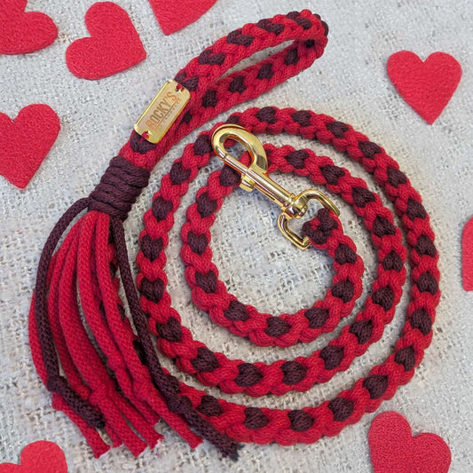 Macrame Valentine's Day Heart Pattern DIY Dog Lead Crafting Kit