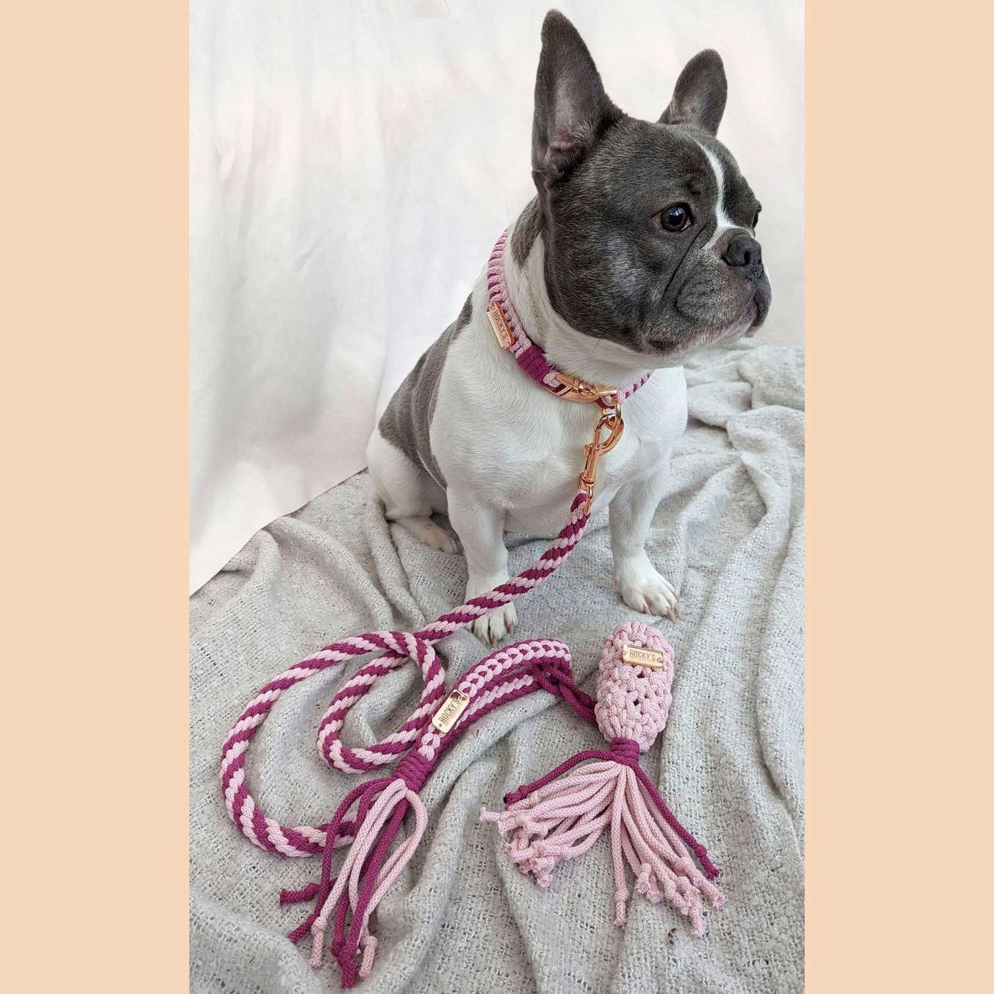 Macrame Two Tone Pink DIY Dog Lead, Collar and Poop Bag Crafting Kit on Rocky