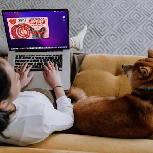 Macrame Make Your Own Dog Lead Crafting Download Guide on a Laptop Screen on a lady's lap on sofa, sitting next to a dog
