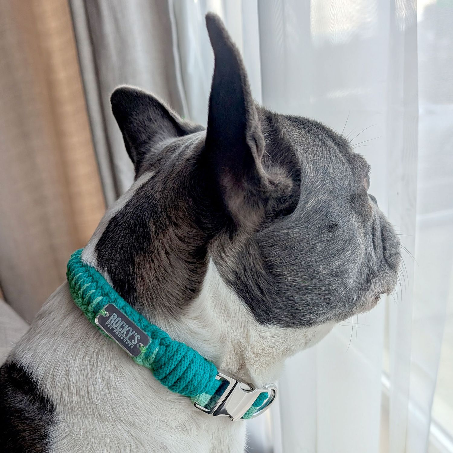 Macrame Two Tone Mint DIY Dog Collar on Rocky