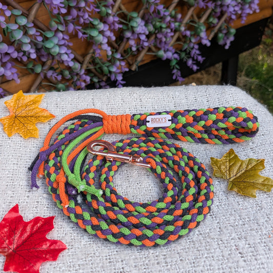 A braided dog lead with orange, green, and black cords and a metal lead hook displayed on a textured white fabric surface with decorative autumn leaves and a purple floral background.