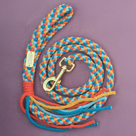 Dog Lead DIY Crafting Kit | Basket Weave Pattern | Make Your Own Dog Lead