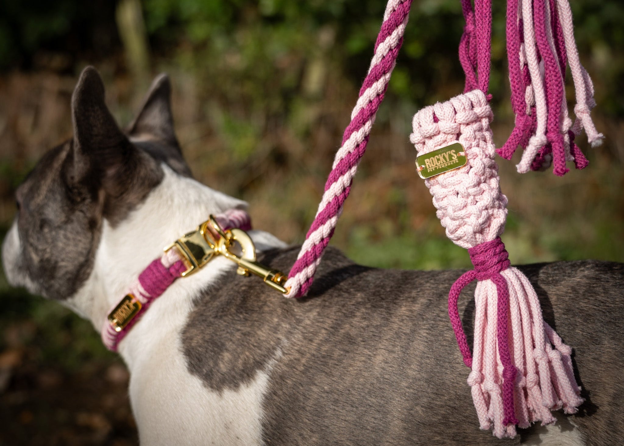 French bulldog wearing handmade macrame pink dog lead