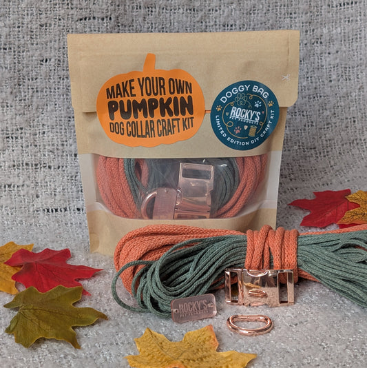 Make your own pumpkin dog collar craft kit with materials on a textured surface.