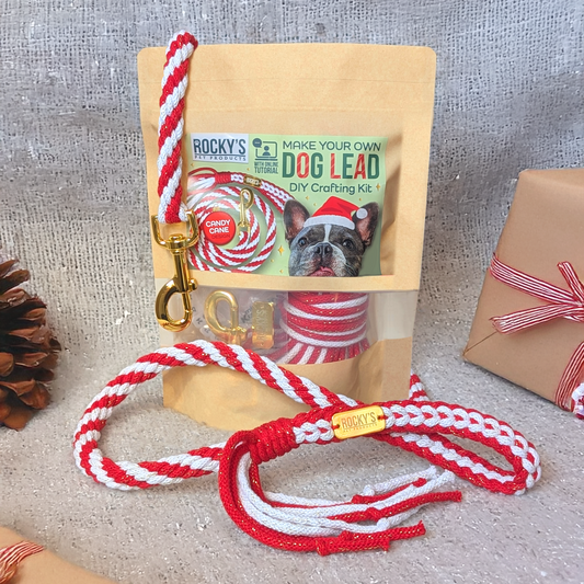 Make Your own dog lead DIY Crafting Kit Christmas gift candy cane