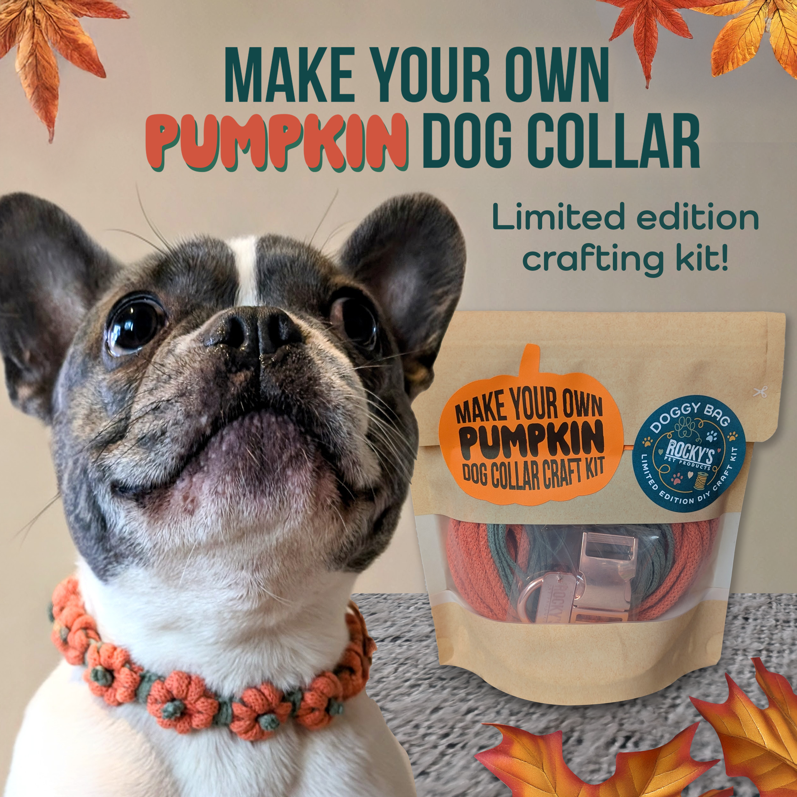 Make Your Own Pumpkin Dog Collar Crafting Kit with Instant Digital