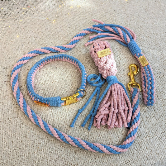Pink and Blue Matching Dog Accessories Bundle