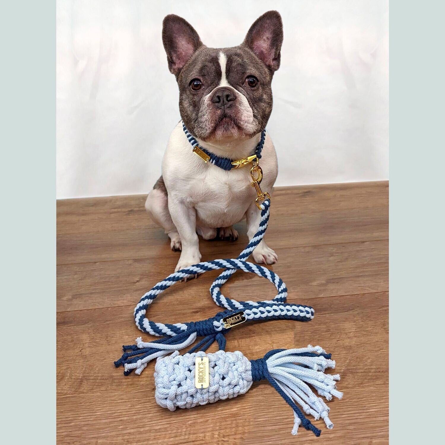 Macrame Two Tone Blue DIY Dog Lead, Collar and Poop Bag on Rocky
