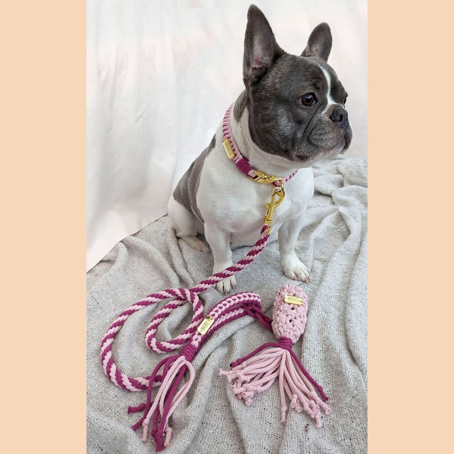 Macrame Two Tone Pink DIY Dog Collar Lead and Poop Bag Crafting Kit with Gold Hardware