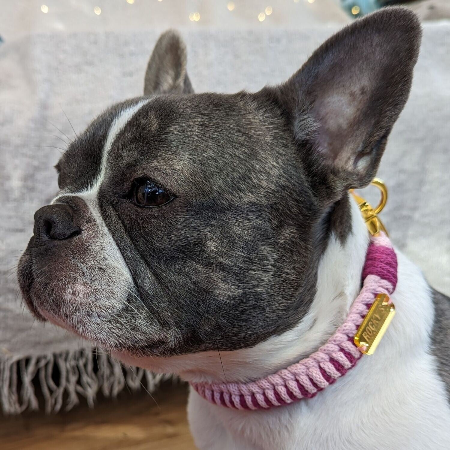 Macrame Two Tone Pink DIY Dog Collar On Rocky