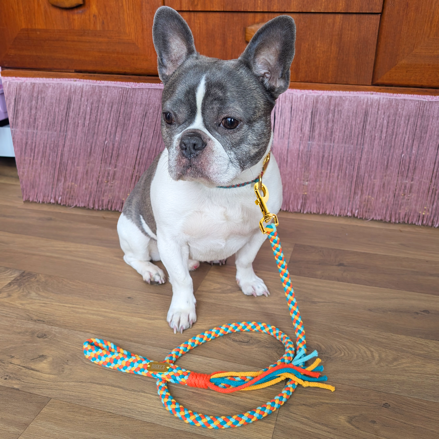 Dog Lead DIY Crafting Kit | Basket Weave Pattern | Make Your Own Dog Lead
