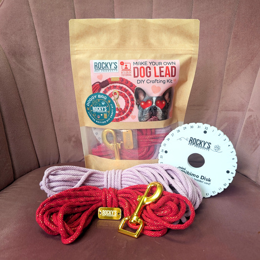 Heart Pattern Pink with Red Valentine's Day Make Your Own Dog Lead Craft Kit