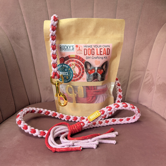 Heart Pattern Pink with Red Valentine's Day Make Your Own Dog Lead Craft Kit