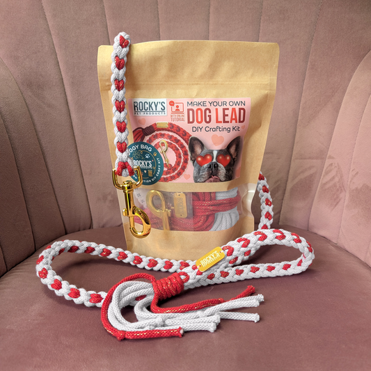 Heart Pattern White with Red Valentine's Day Make Your Own Dog Lead Craft Kit