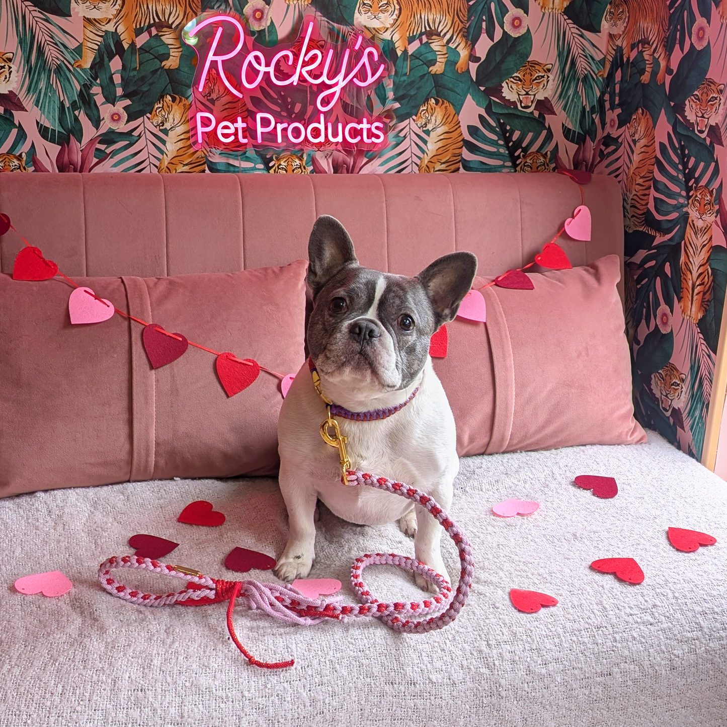 Heart Pattern Pink with Red Valentine's Day Make Your Own Dog Lead Craft Kit