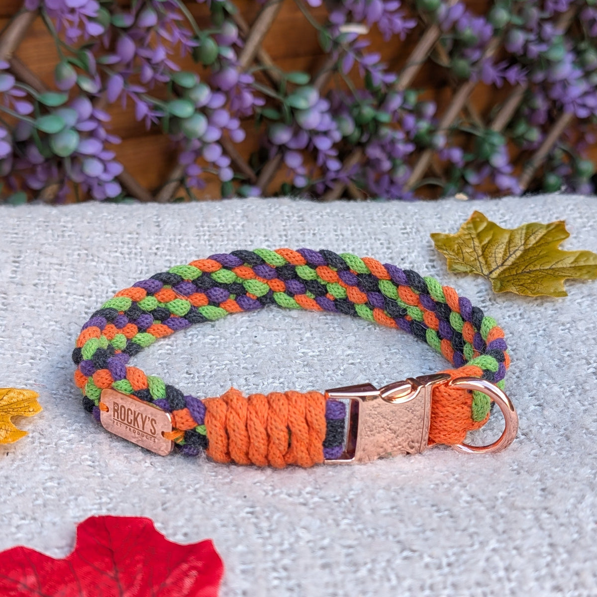 A handmade braided dog collar in orange, green, yellow, and blue, displayed on a white textured blanket with autumn leaves and a wooden lattice background.