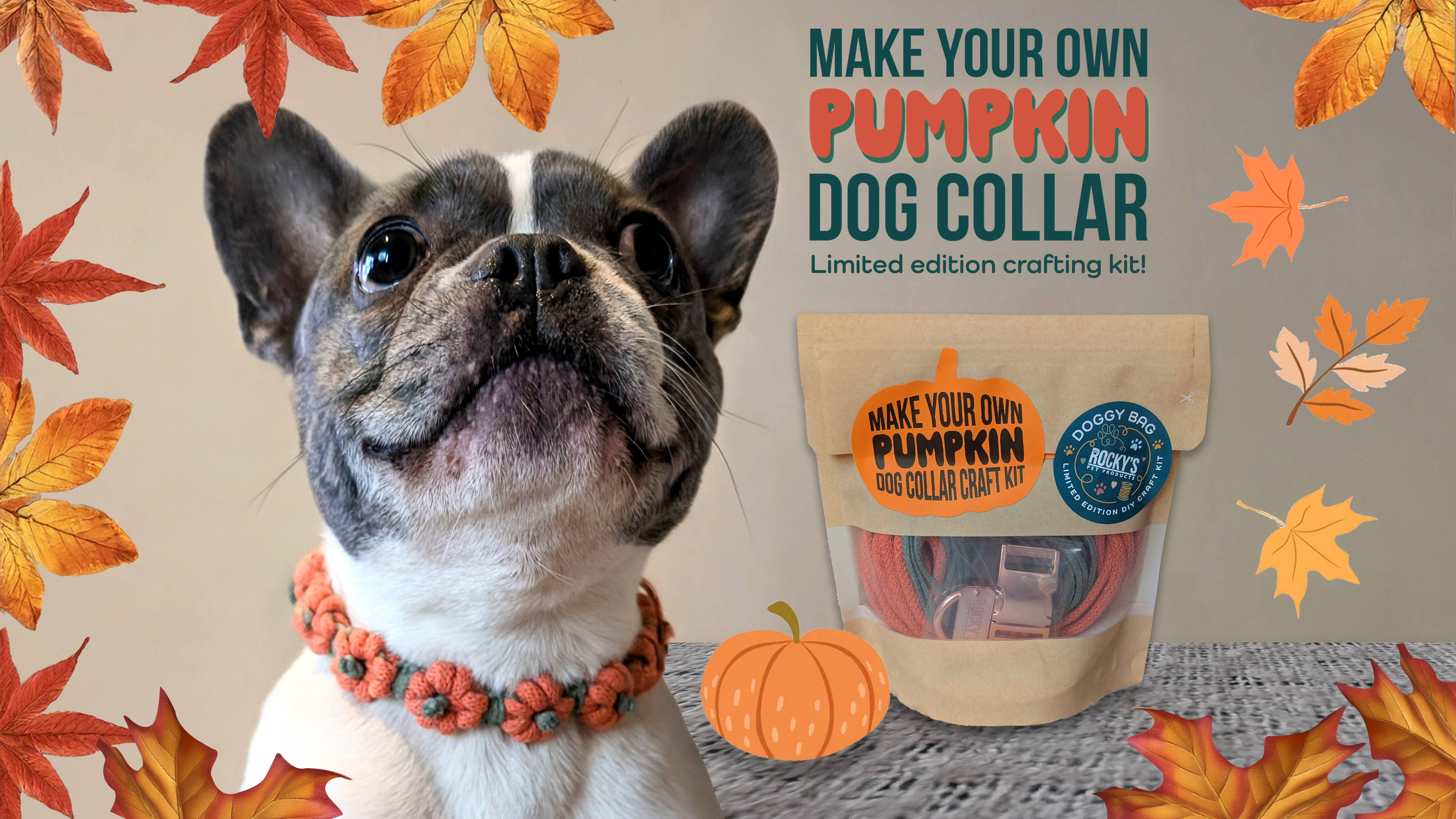 Dog wearing a pumpkin-themed dog collar with crafting kit packaging and autumn leaves in the background