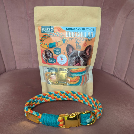 Make Your Own Basket Weave Dog Collar Craft Kit with Braiding Disk