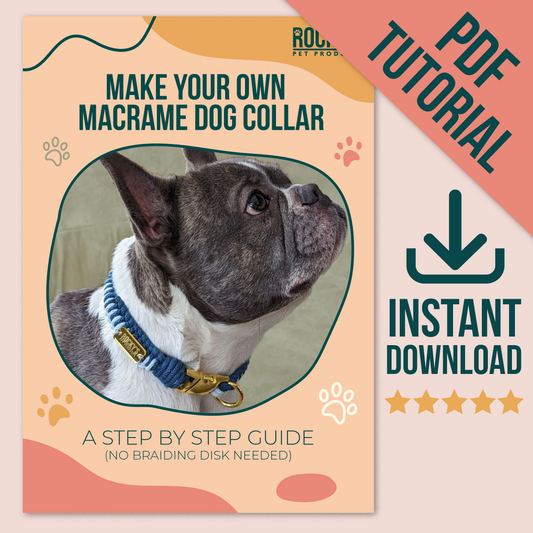 Make Your Own Macrame Dog Collar Digital Download how-to Guide
