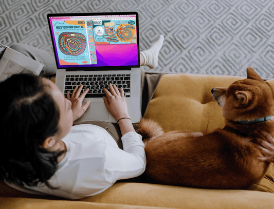 Digital Download how-to Guide Basket Weave Dog Lead
