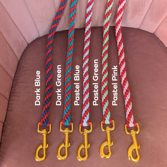 Make Your Own Dog Lead Craft Kit - Sparkle Xmas Colours Collection